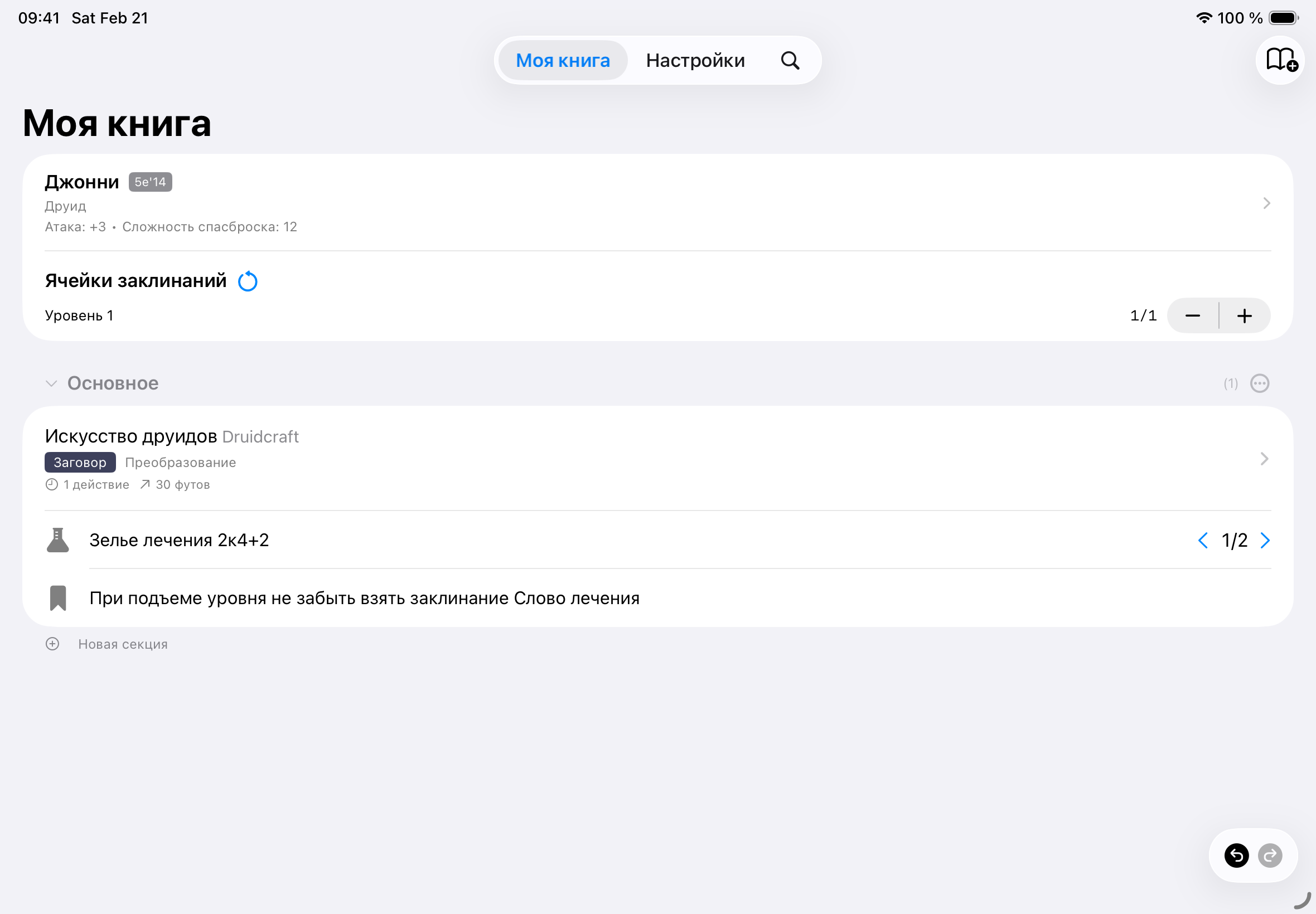 iPad View